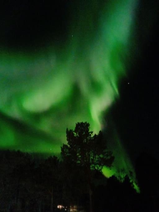 Koselig Og Moderne Leilighet, Meget Sentralt I Narvik Med Gratis Parkering! Exteriör bild