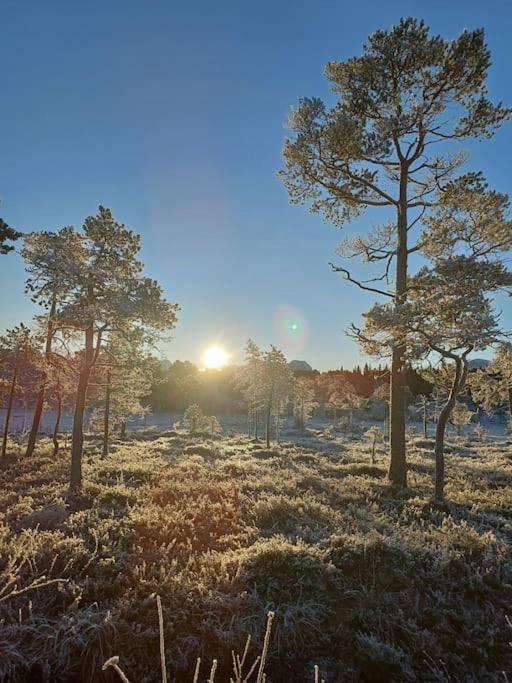 Koselig Og Moderne Leilighet, Meget Sentralt I Narvik Med Gratis Parkering! Exteriör bild
