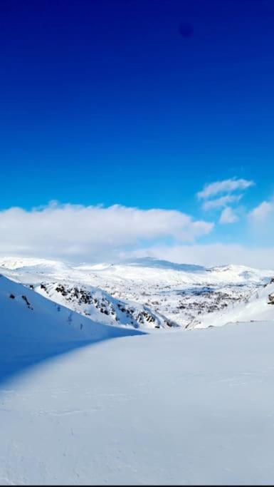 Koselig Og Moderne Leilighet, Meget Sentralt I Narvik Med Gratis Parkering! Exteriör bild